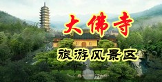 xx成人妖啊啊啊视频中国浙江-新昌大佛寺旅游风景区